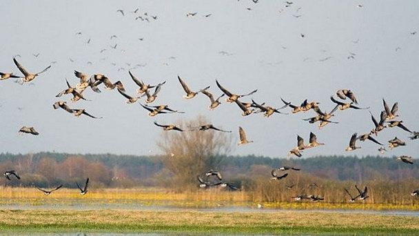 Национальный парк Магурский в Белостоке