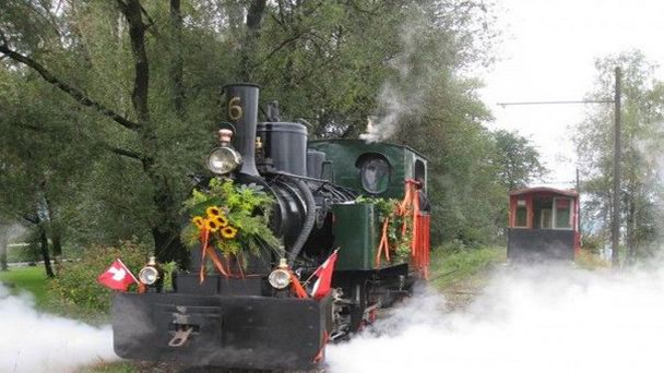 Музей Rhein-Schauen в Форарльберге