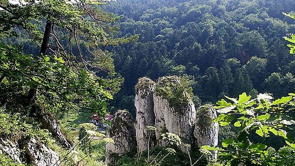 Национальный парк Ойцовский в Кракове
