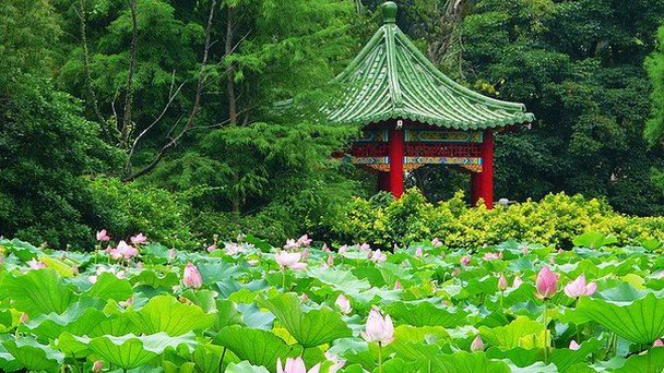 Ботанический сад Тайбэя в Тайпее