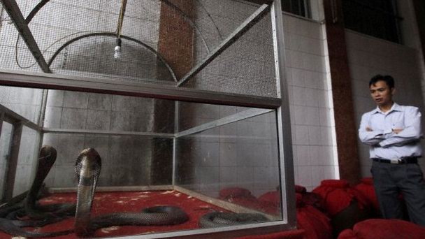 Ле Мат Змеиная деревня в Ханое