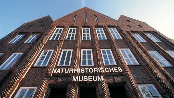 Государственный музей естествознания в Нижней Саксонии Государственный музей естествознания в Нижней Саксонии