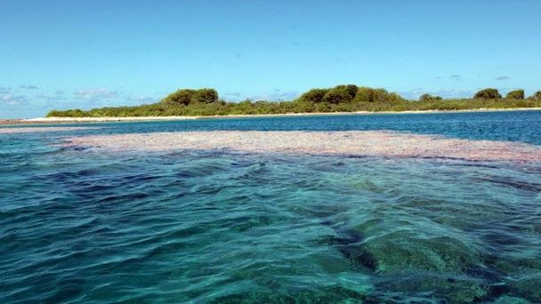 Остров Норт-Эрандел на о-вах Гилберта Остров Норт-Эрандел на о-вах Гилберта