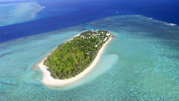 Остров Херон на Большом Барьерном Рифе