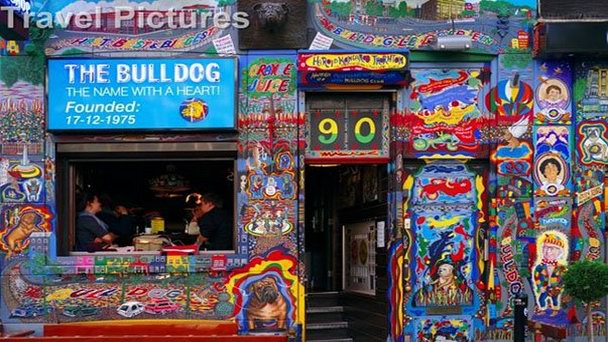 Кофешоп Bulldog Energy в Амстердаме Кофешоп Bulldog Energy в Амстердаме