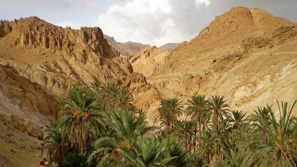 Оазис Шебика в Таузере