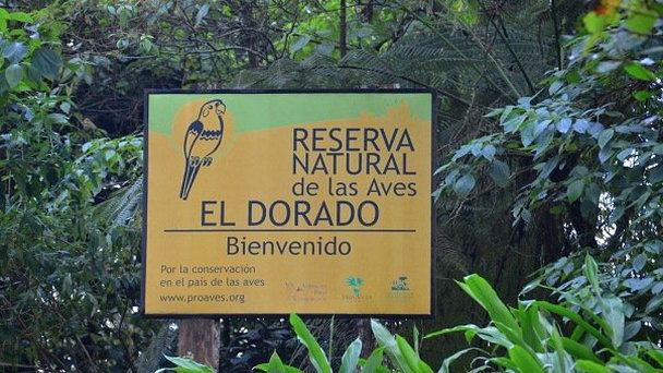 Птичий заповедник Эльдорадо в Санта-Марте