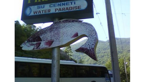 Ресторан Su Cenneti Water Paradise в Аланье