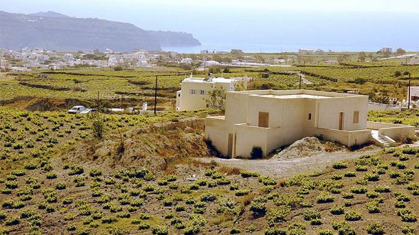 Виноградники Санторини