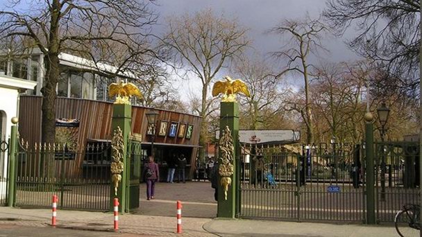 Зоопарк Artis в Амстердаме Зоопарк Artis в Амстердаме