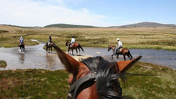 Конный клуб Horse Riding Hurghada в Хургаде