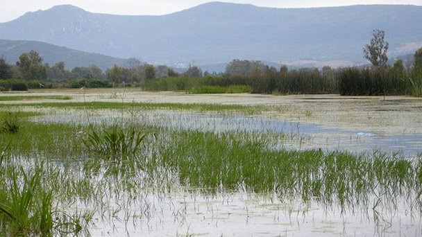 Национальный парк озера Чад в Абудже