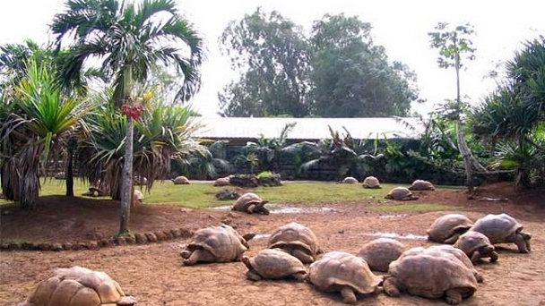 Заповедник Ла Ваниль Маврикие