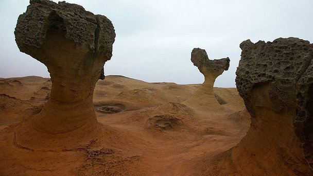 Мыс Ехлиу в Тайпее