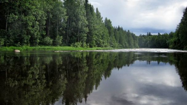 Река Шуя в Карелии