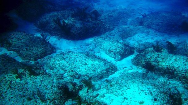 Дорога Бимини в Нассау