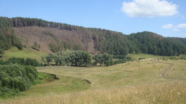 Село шереметьевка нижнекамский район карта