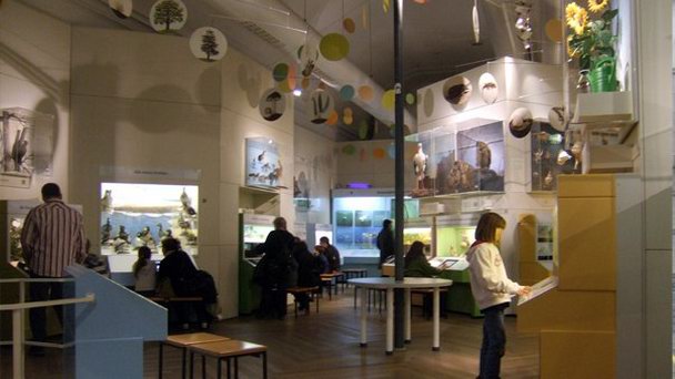 Музей «Человек и природа» в Мюнхене