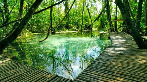 Поющие пески в Сан-Паулу