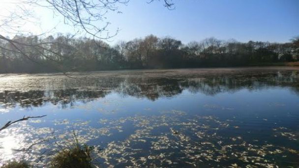 Озеро Denkendorfer Erlachsee в Баден-Вюртемберге