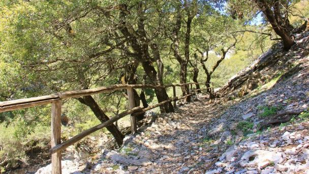 Ущелье Рувас на Острове Крит