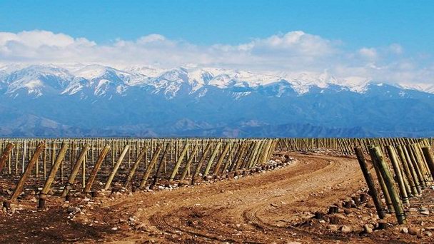 Долина Уко в Мендосе