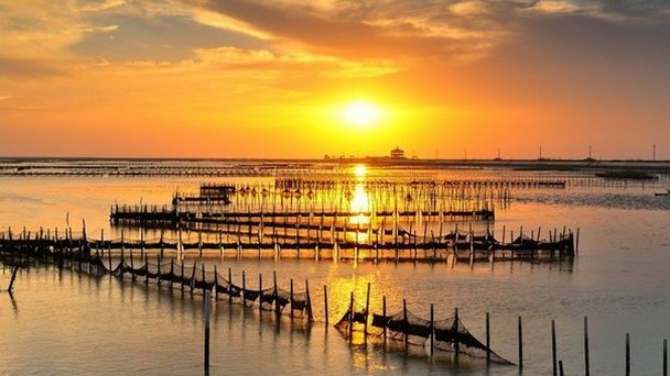 Национальный парк Таийанг в Тайнани