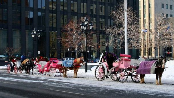 Конные повозки Старого Монреаля в Монреале