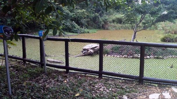 Эко-парк Aluxes в Чьяпасе