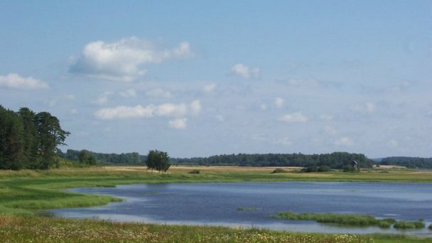 Озера в Пушкинском районе: достопримечательности и популярные места для рыбалки