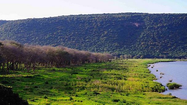 Национальный парк Самбу в Лусаке