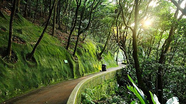 Восточный парк Сай Кунг в Гонконге