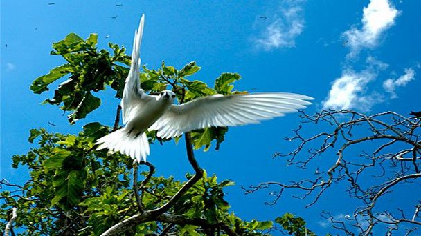 Остров Арид в Виктории Остров Арид в Виктории