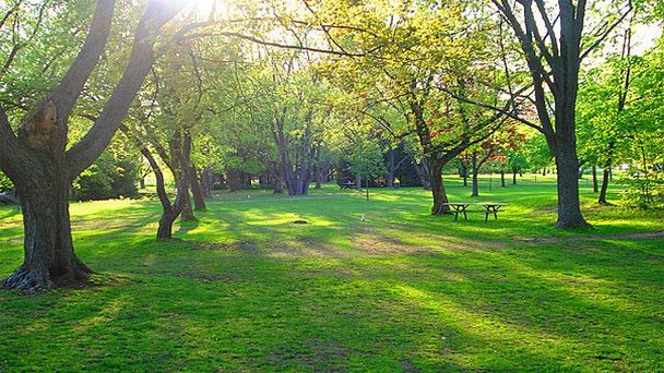 Парк Bellevue в Онтарио