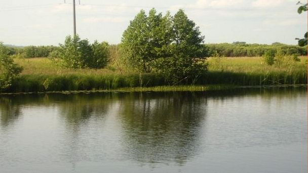 Озеро Шелубей в Саранске Озеро Шелубей в Саранске