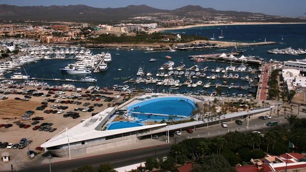 Дельфинарий Cabo Dolphins в Лос-Кабосе