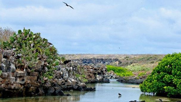 Остров Геновеса на Галапагосских островах