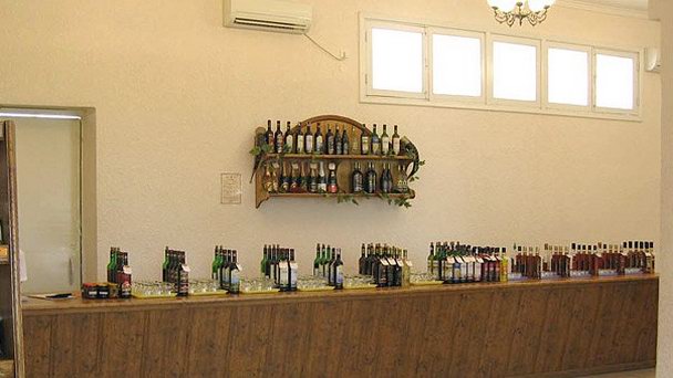 Гудаутский вино-водочный завод в Гудауте