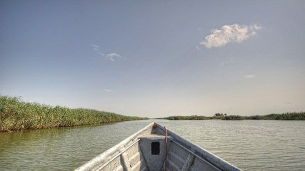 Озеро Анзали в Тегеране