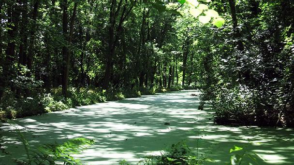 Замок Кронштейн в Лейдене