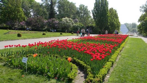 Национальный ботанический сад им.Гришко в Киеве