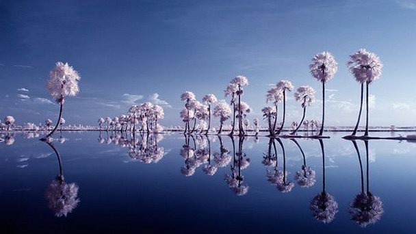 Благоухающая река Хыонг в Хюэ