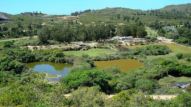 Заповедник дикой природы в Пунта-дель-Эсте Заповедник дикой природы в Пунта-дель-Эсте