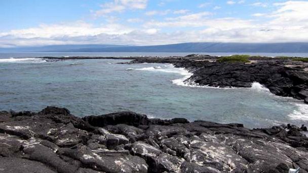 Мыс Эспиноса на Галапагосских островах