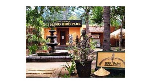 Парк птиц «Gili Meno Bird Park» в Ломбоке