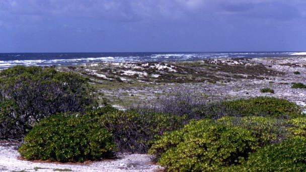Атолл Эндербери на о-вах Феникс Атолл Эндербери на о-вах Феникс