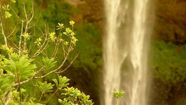 Водопад Alexandra в Кюрпипе Водопад Alexandra в Кюрпипе