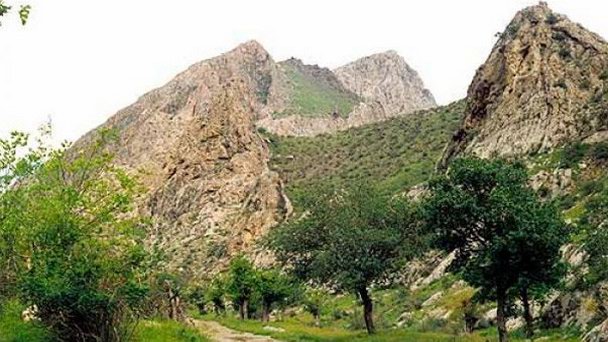 Кызылкумский заповедник в Бухаре