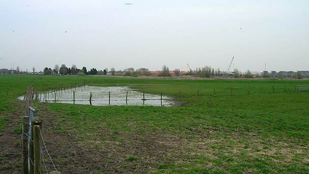 Руины замка Херлем в Хемскерке