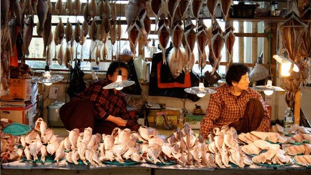 Рынок морепродуктов Чагальчхи в Пусане Рынок морепродуктов Чагальчхи в Пусане